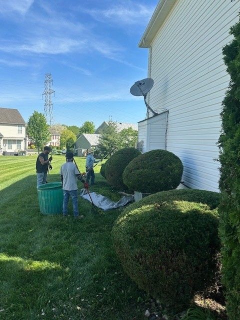 A group of men are cutting bushes in front of a house.