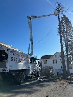 A white truck with a crane on top of it is cutting a tree.