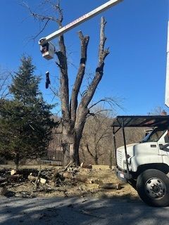 A white truck is cutting a tree with a crane.