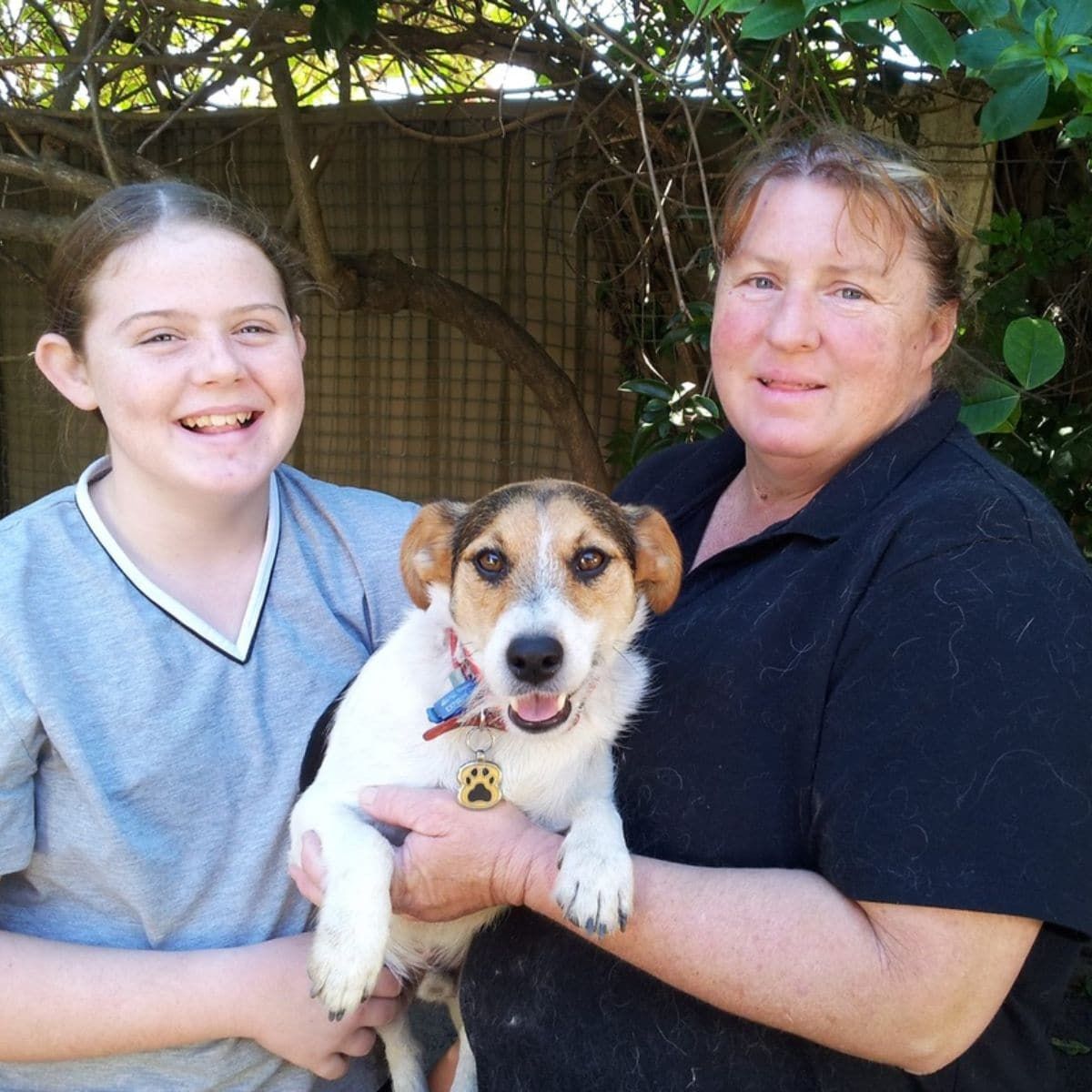 A Woman Is Holding A Dog — Homebush Boarding Kennels & Cattery In Homebush, QLD