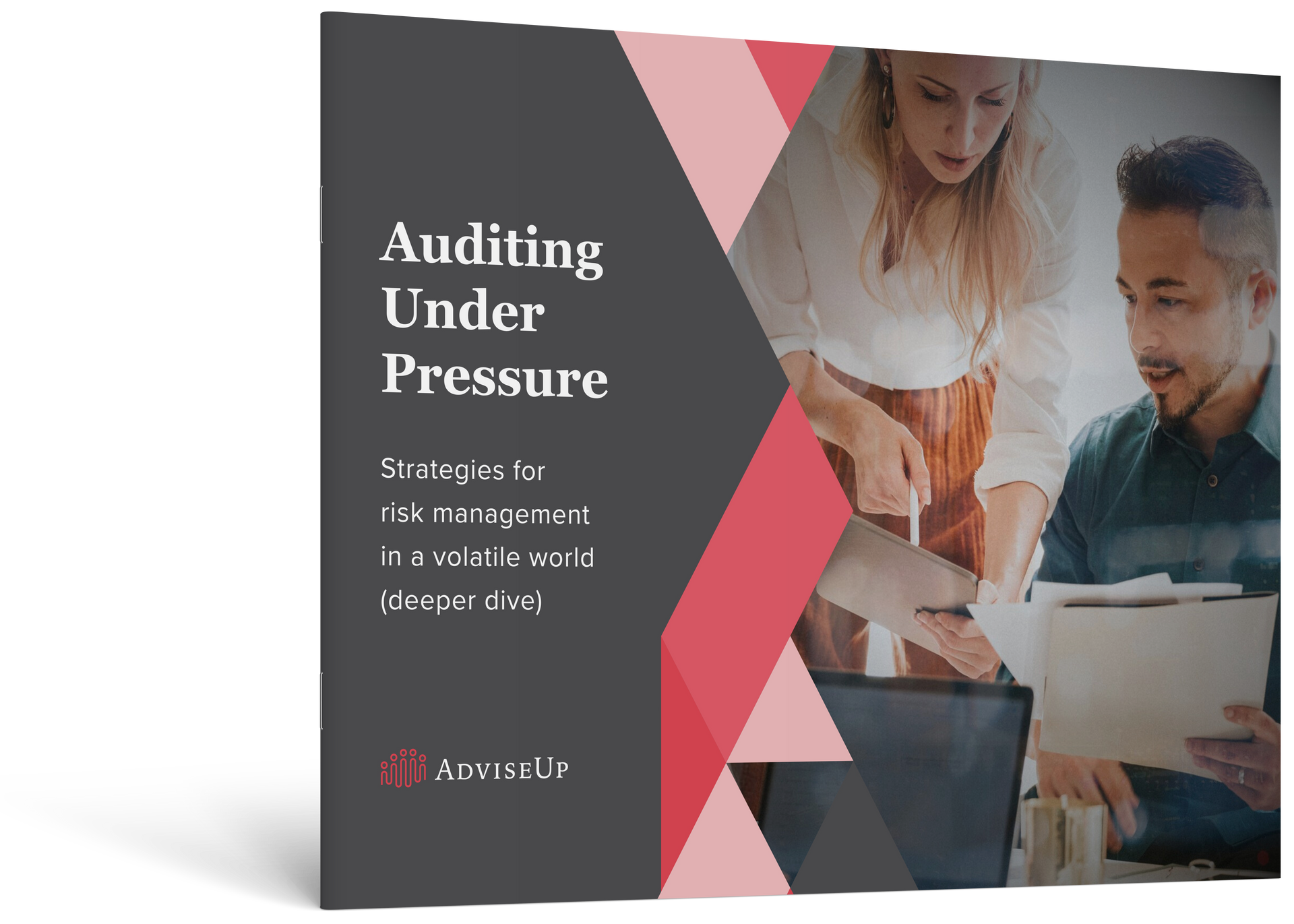 Auditing Under Pressure