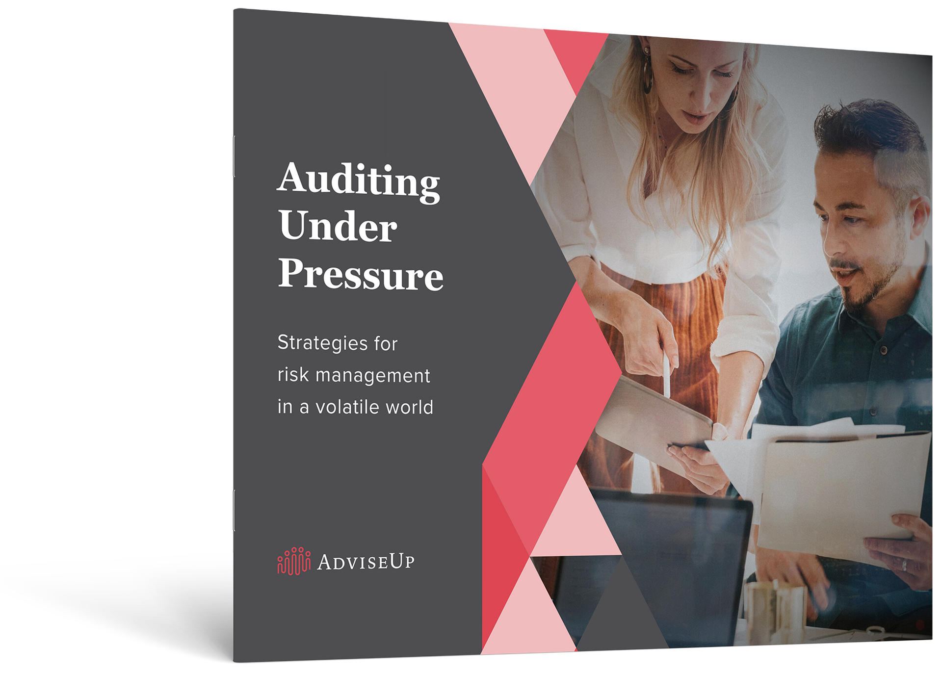 Auditing Under Pressure