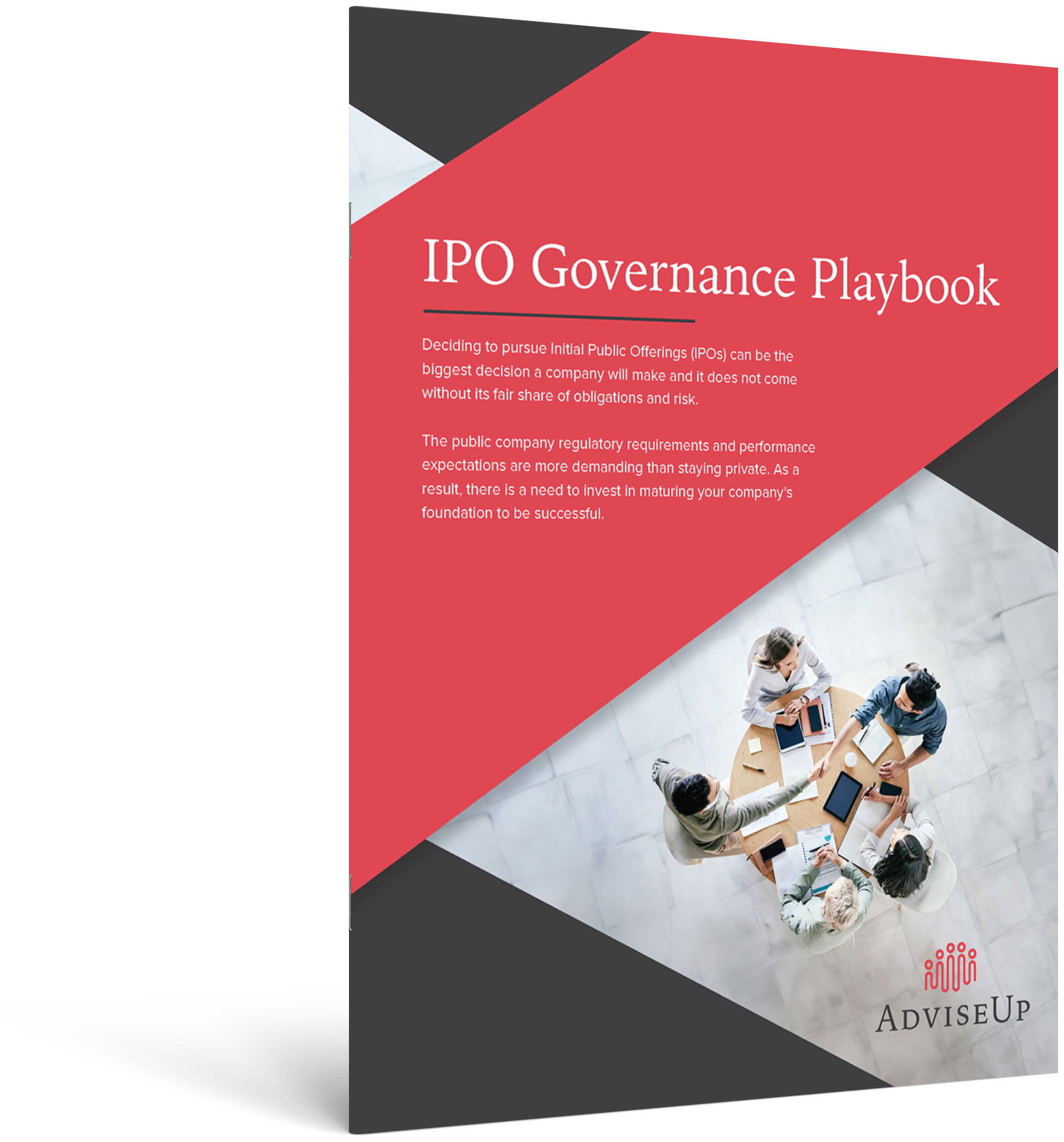 IPO Governance Playbook