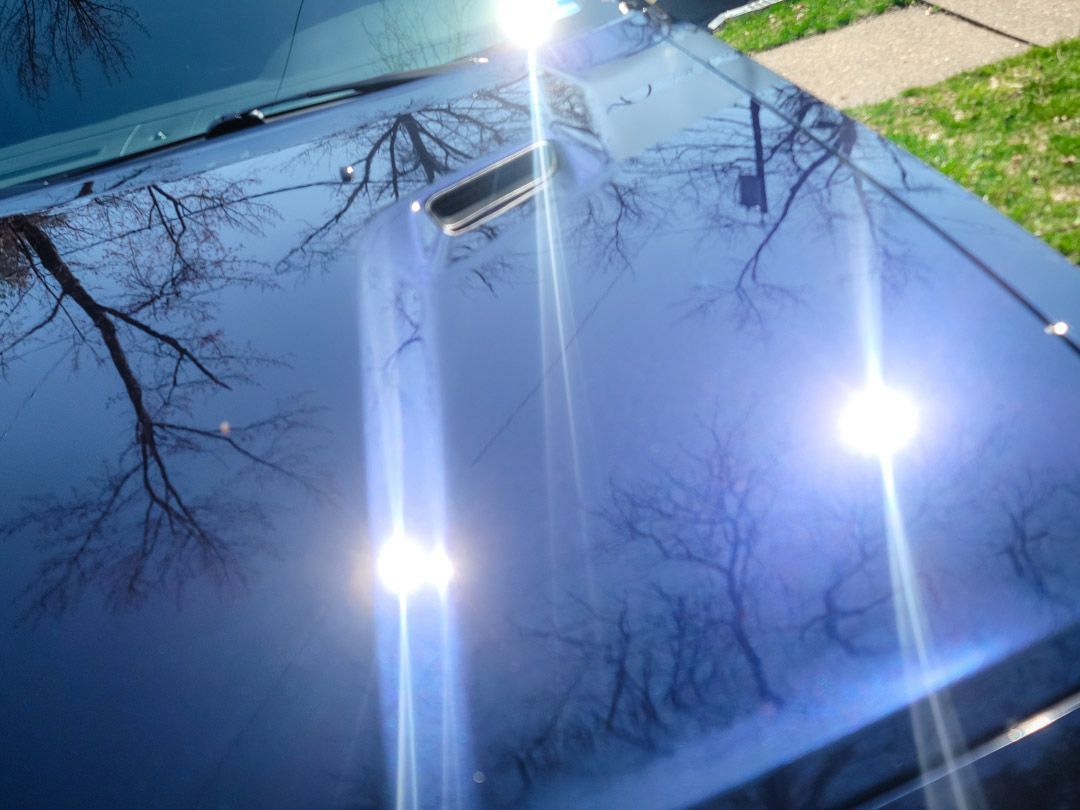 Shiny blue car hood reflecting trees and sunlight.
