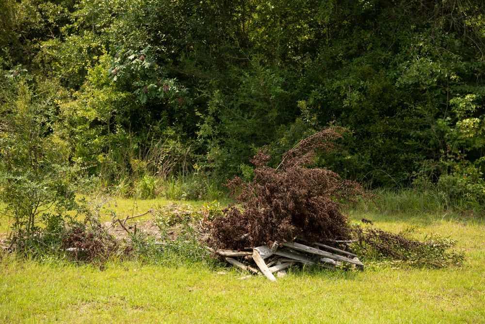 A person is cutting a tree branch with a pair of scissors.