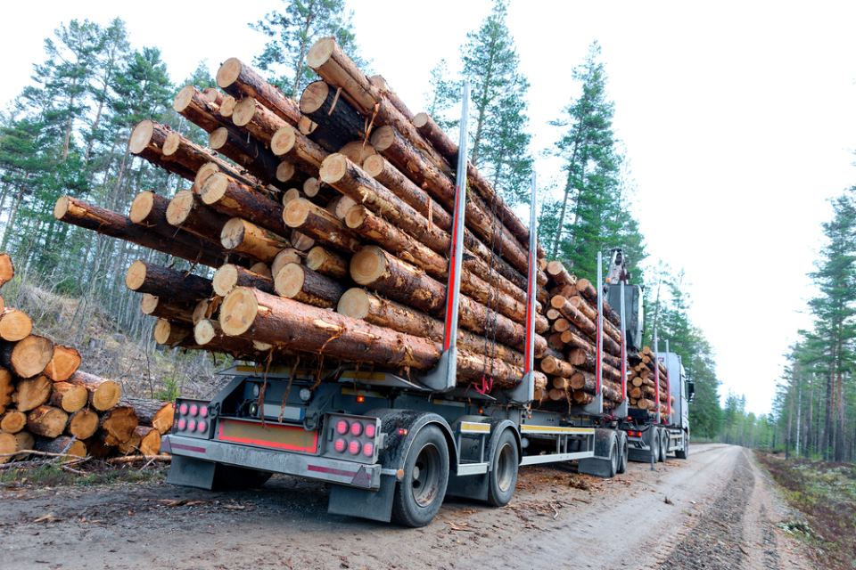 trasporto legna da ardere