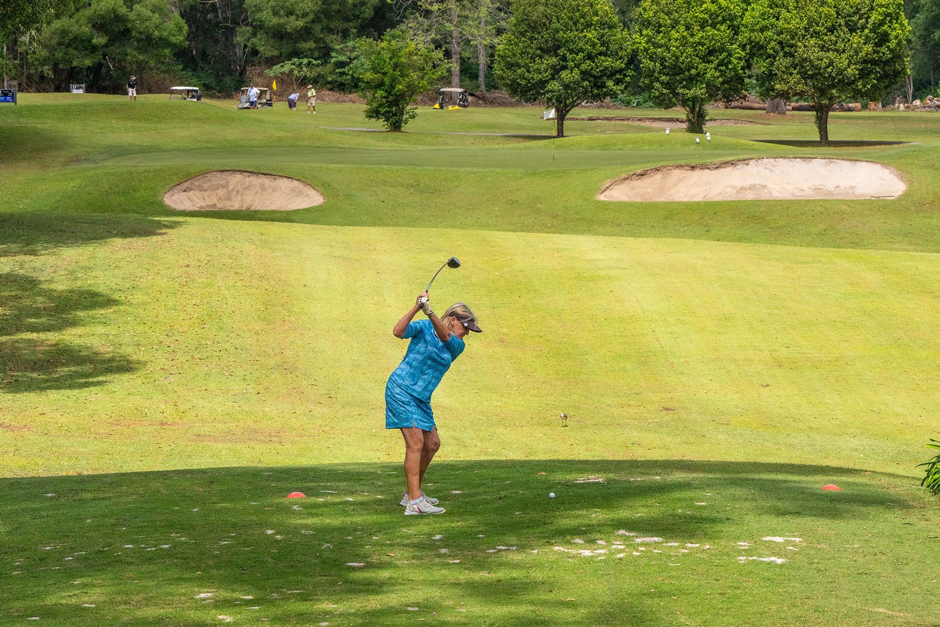 A person is carrying a golf bag full of golf clubs on a golf course.
