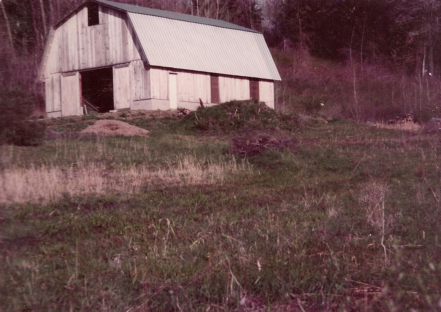 A barn is sitting in the middle of a grassy field.