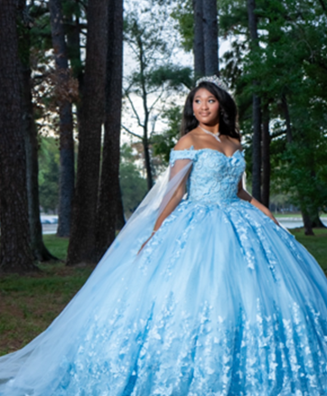 Beautiful Dress — Sugar Land, TX — Serenity's Event Designs