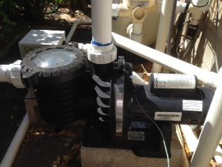 Technicians provide pool maintenance service in Honolulu, HI