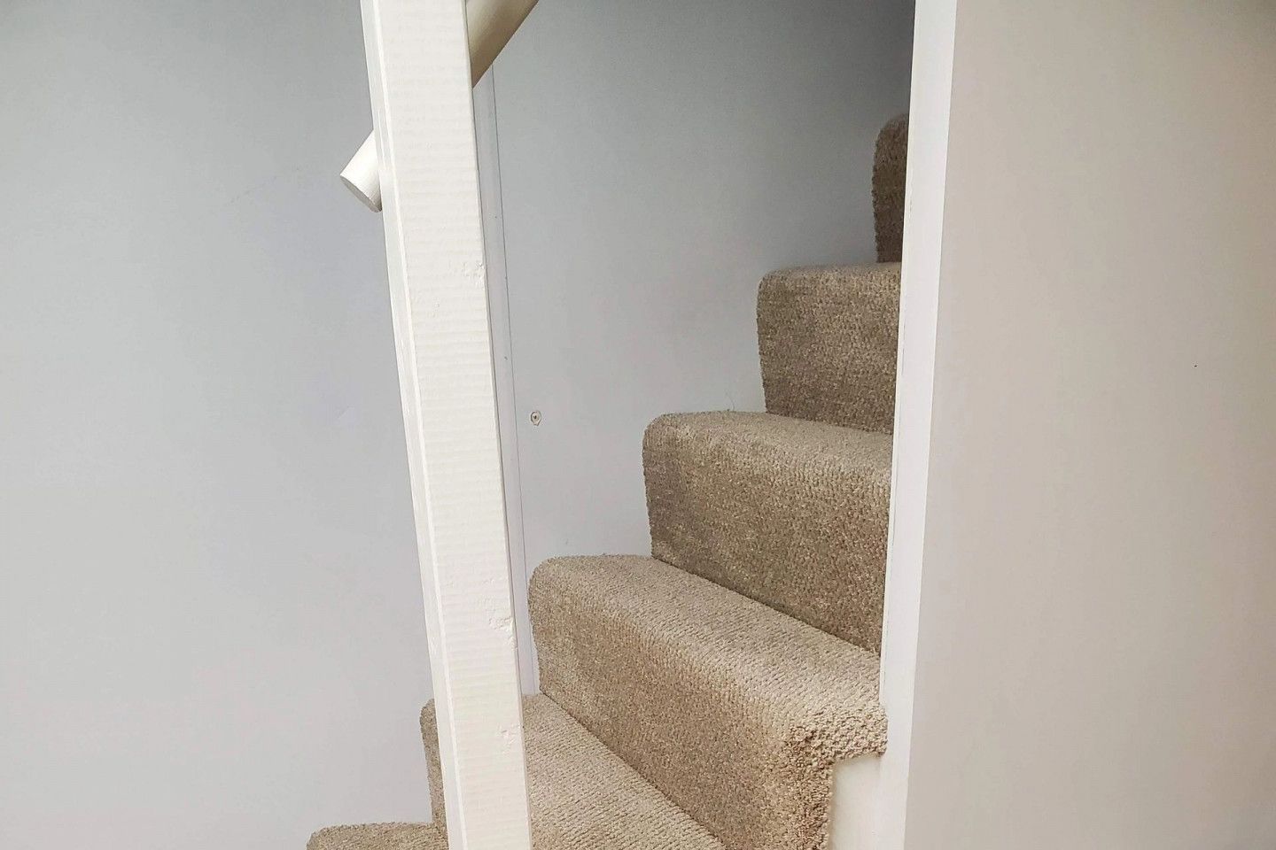 Staircase with beige carpet and white risers. Stairs ascend, with a white wall on the left.