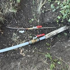 Two valves with red handles in a trench, connected to pipes, surrounded by soil and greenery.