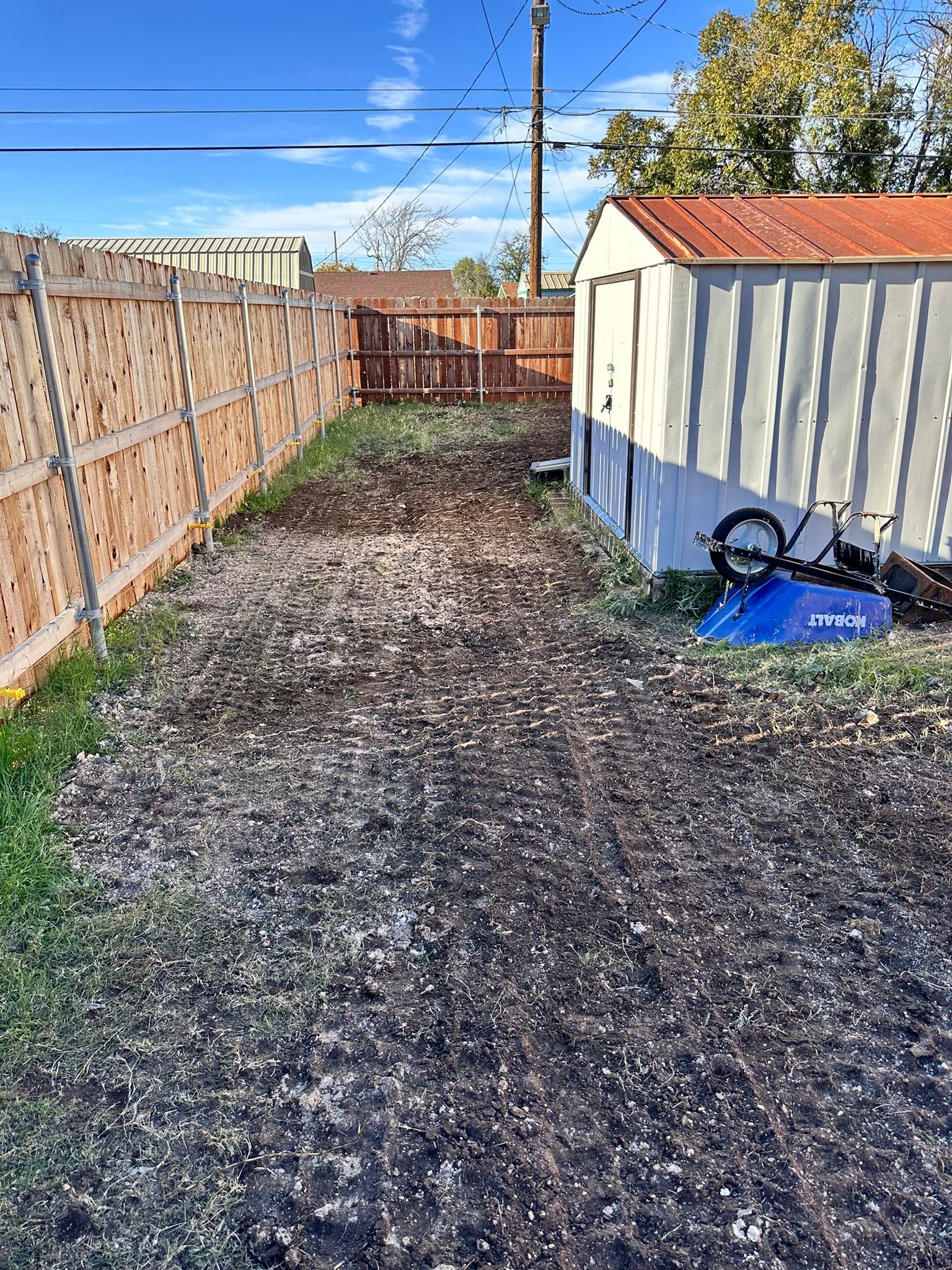 Backyard with wooden fence, shed, and patchy grass. A blue bin and bike rest near the shed.