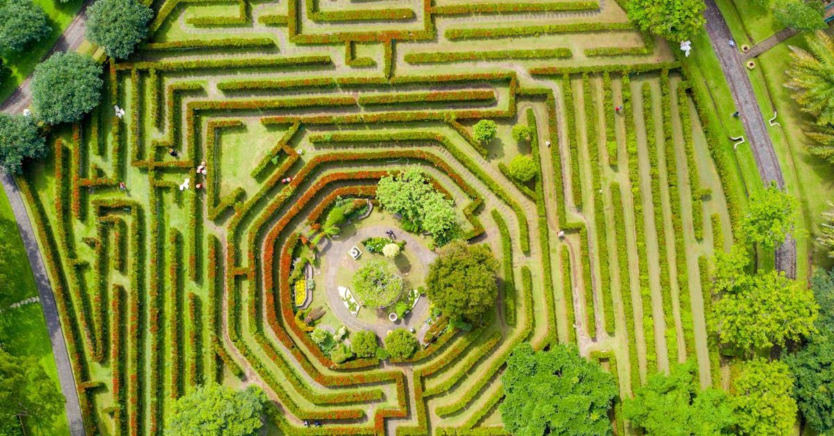 maze