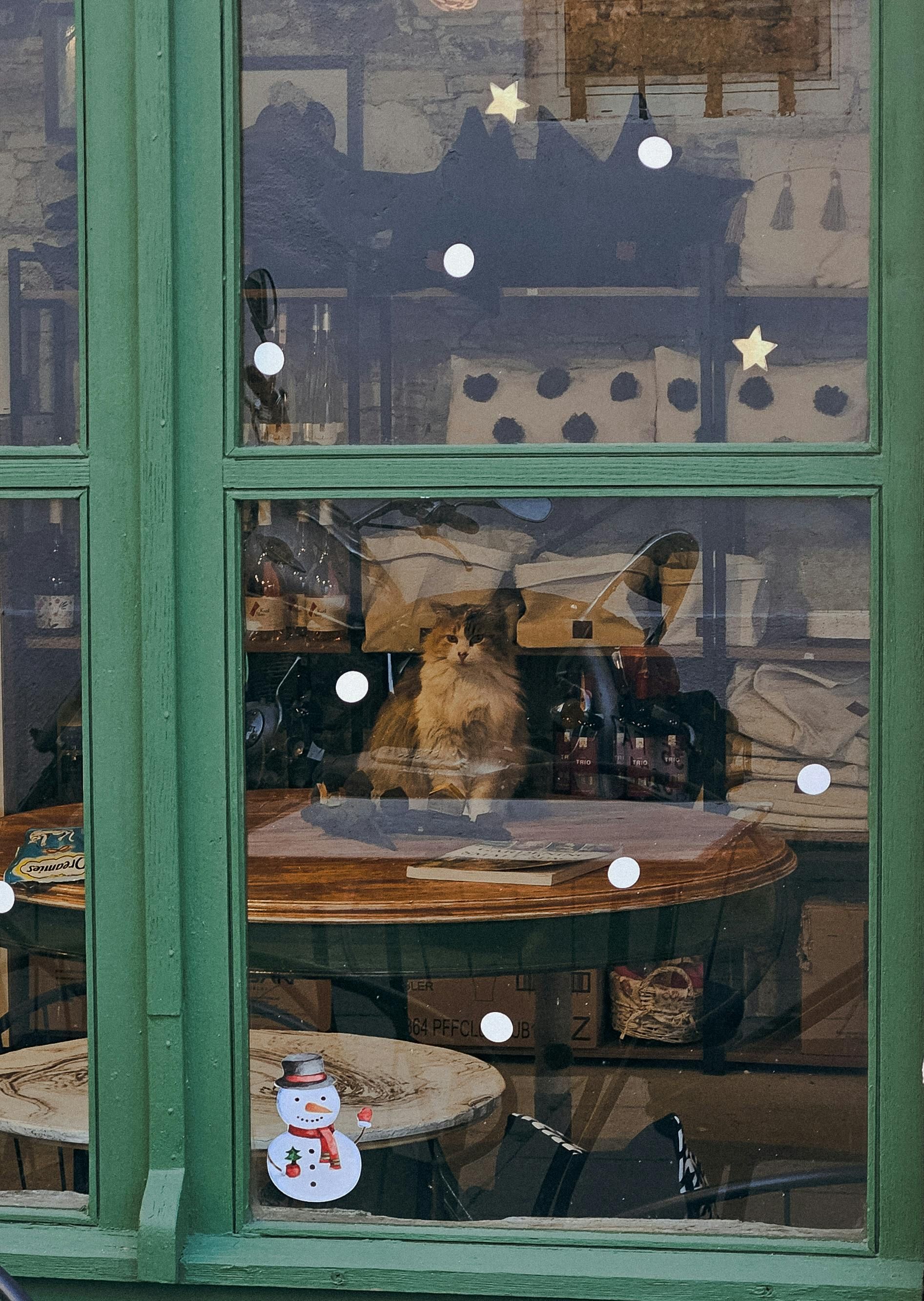 Green window displays a shop interior. A pixel snowman sticker is on the glass. Decorations and products visible inside.