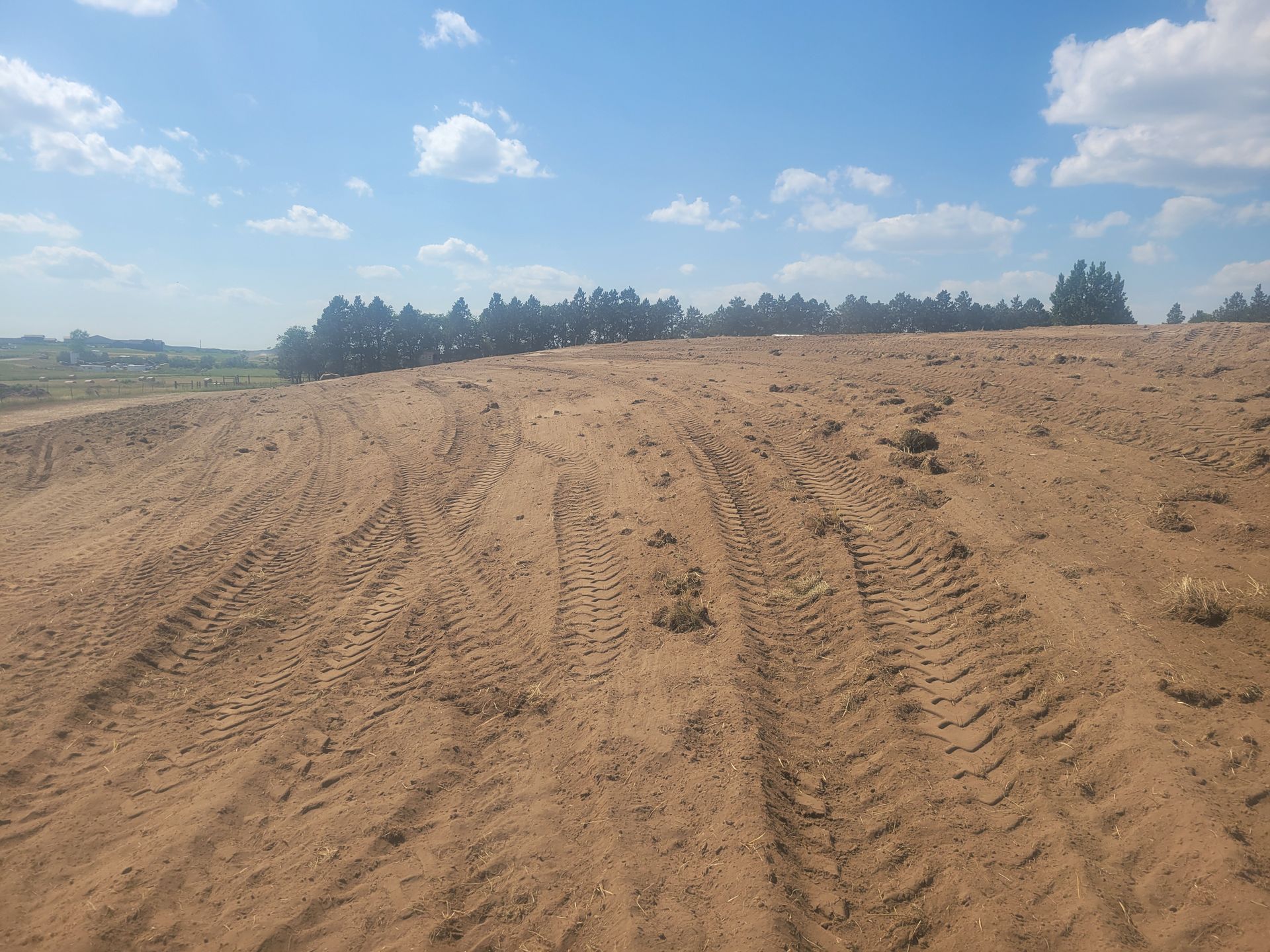 Sandy dirt field with tire tracks under a blue sky and a line of trees on the horizon.