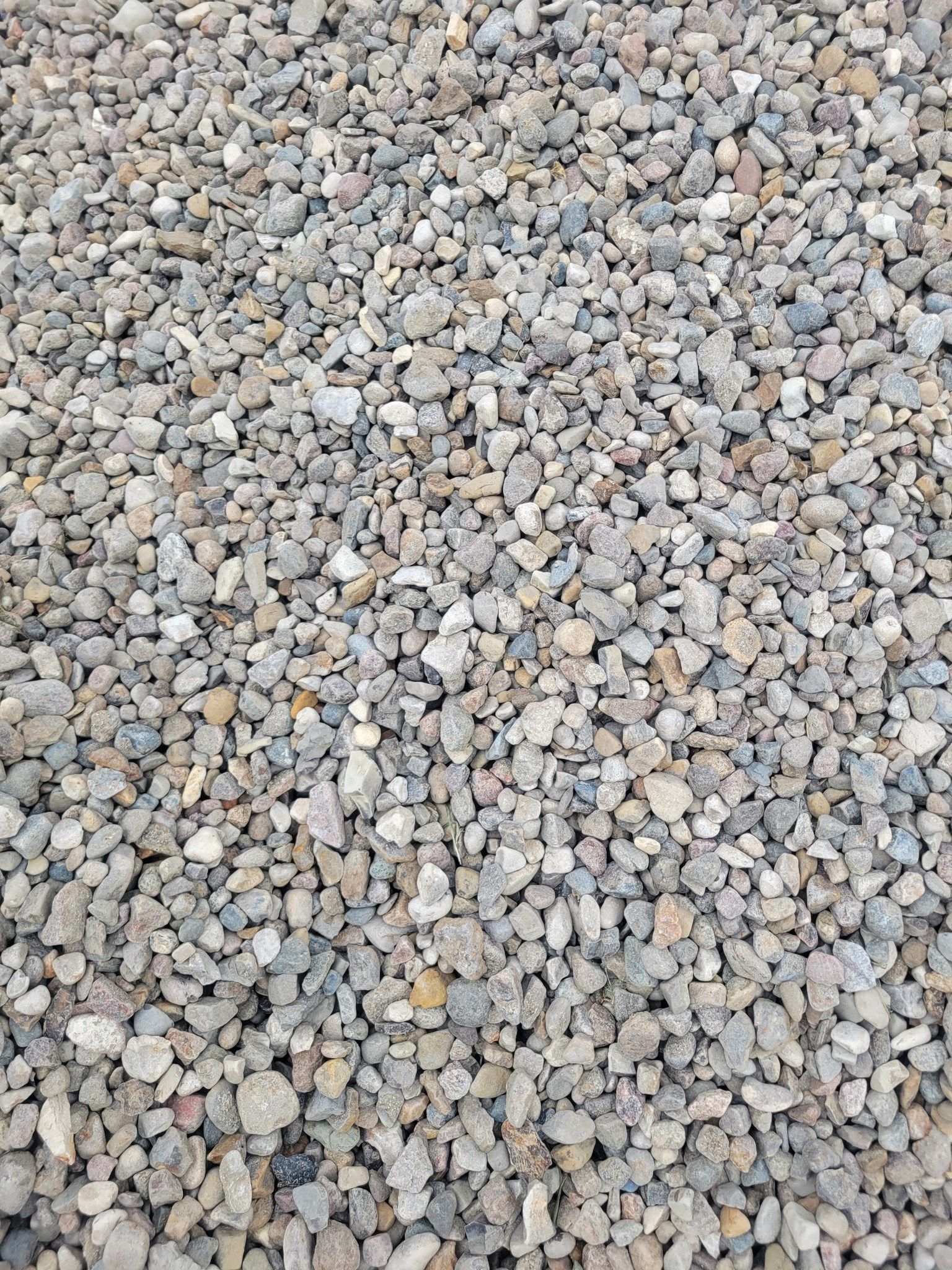Gray and beige gravel covers the ground.