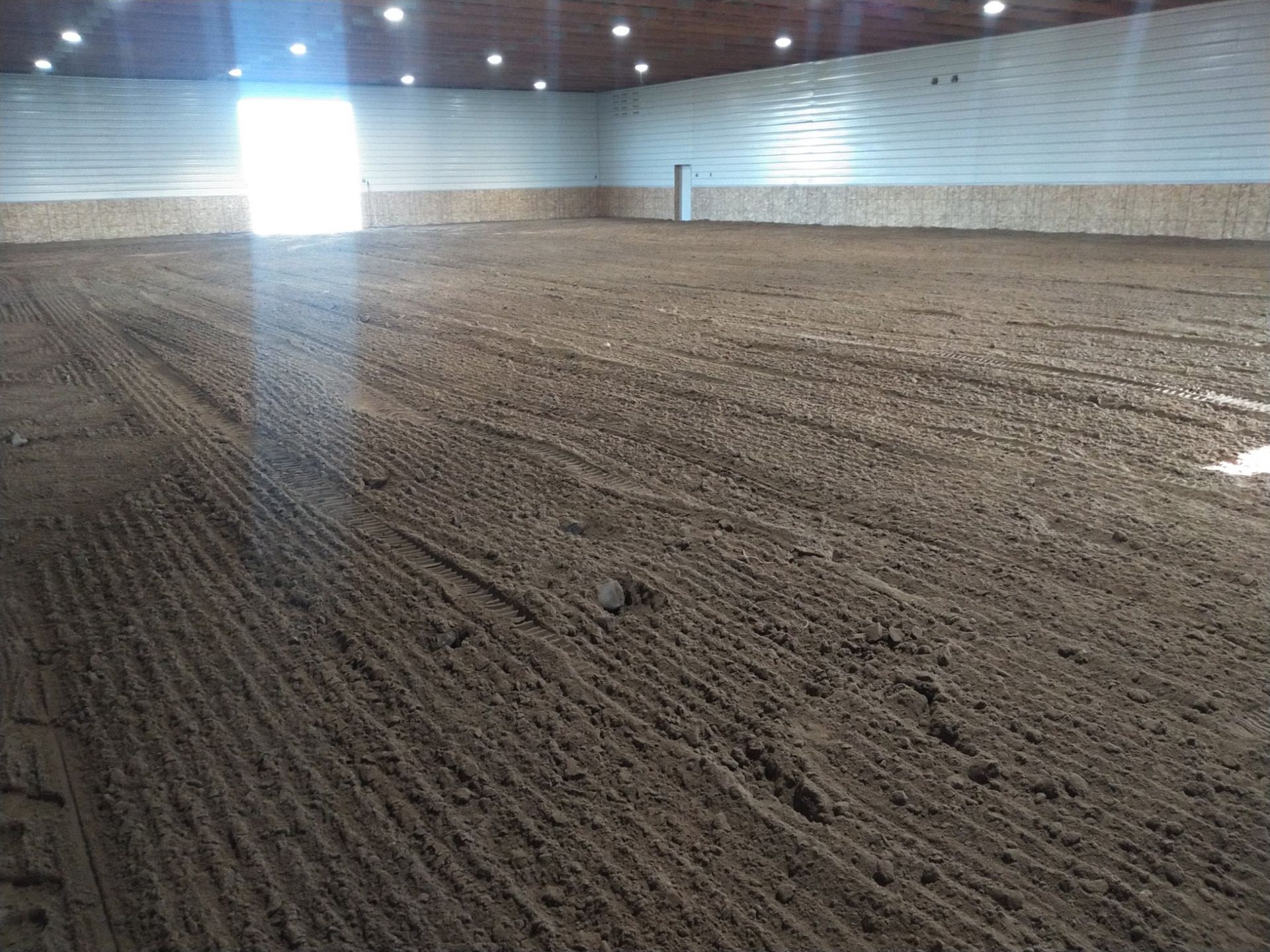 Indoor equestrian arena with dark soil ground, lit by overhead lights and sunlight from an open door.