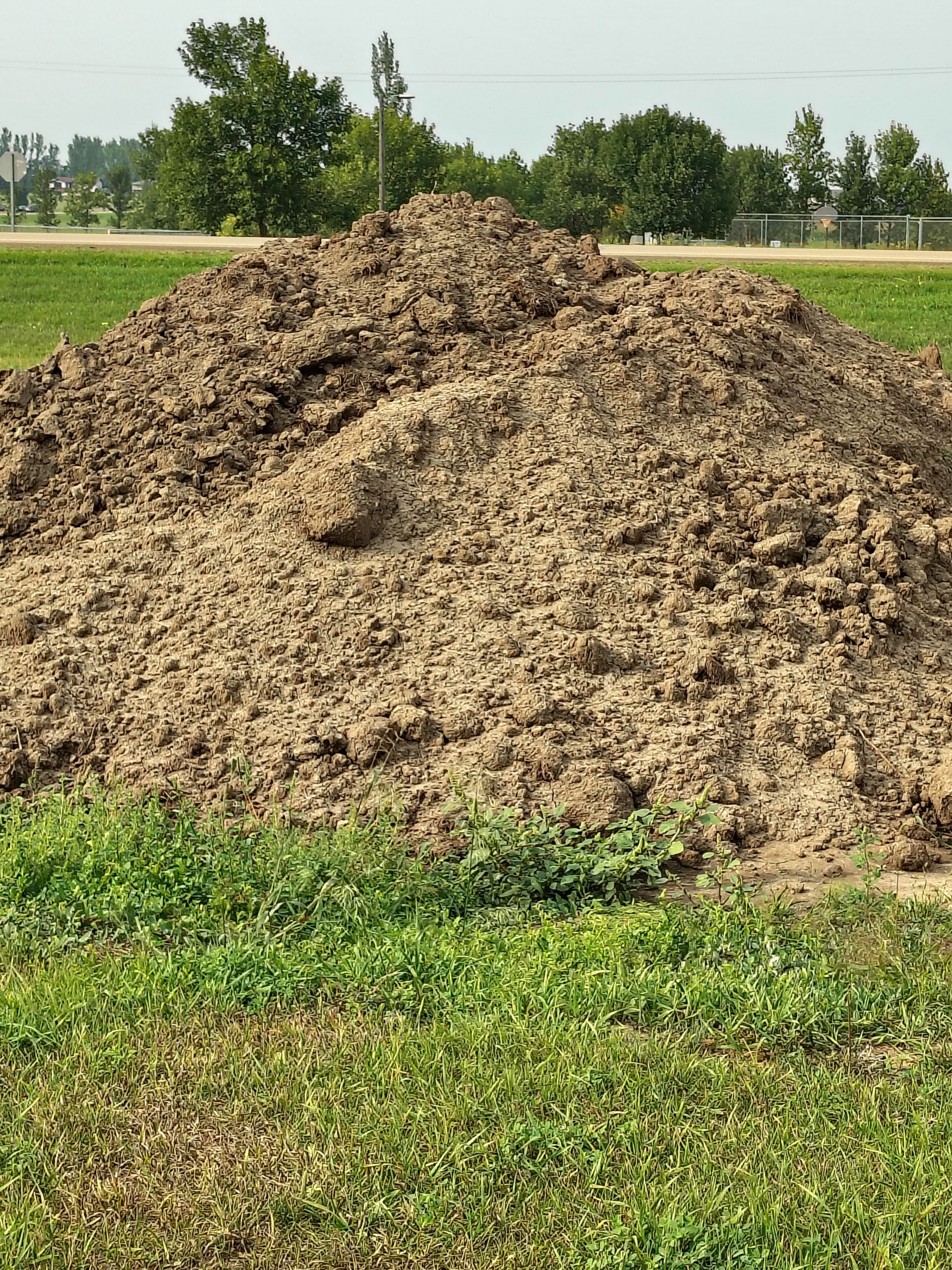 Pile of brown dirt in a grassy field with trees and a structure in the background under a bright sky.
