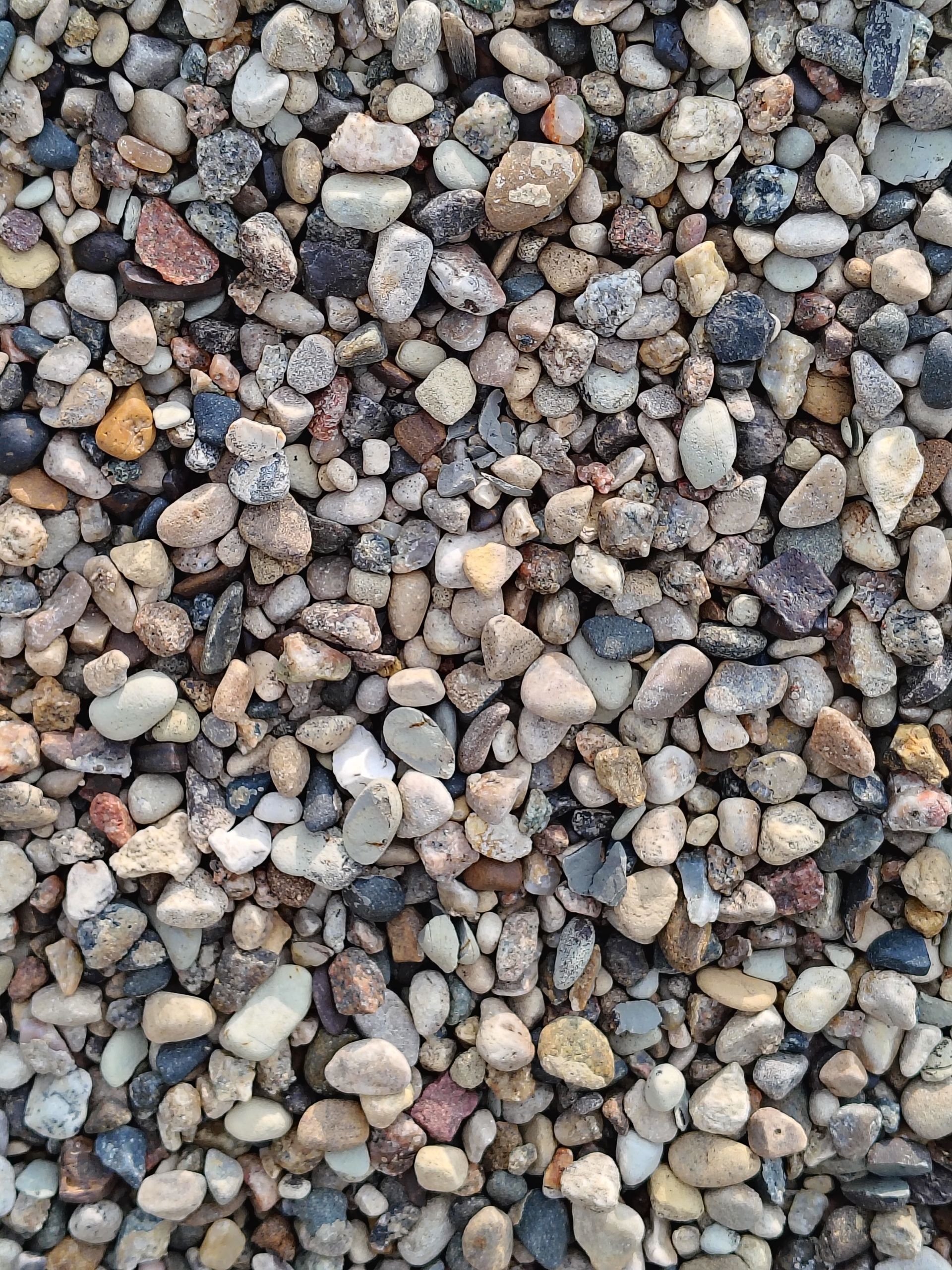 Gravel: Mixed colors of small, rounded stones.