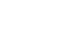 Dettaglio Logo - Fiocchi di neve