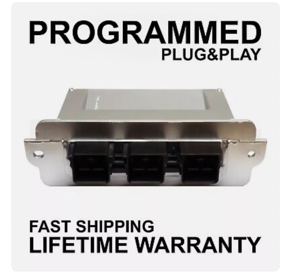 A picture of a programed plug and play with a fast shipping lifetime warranty