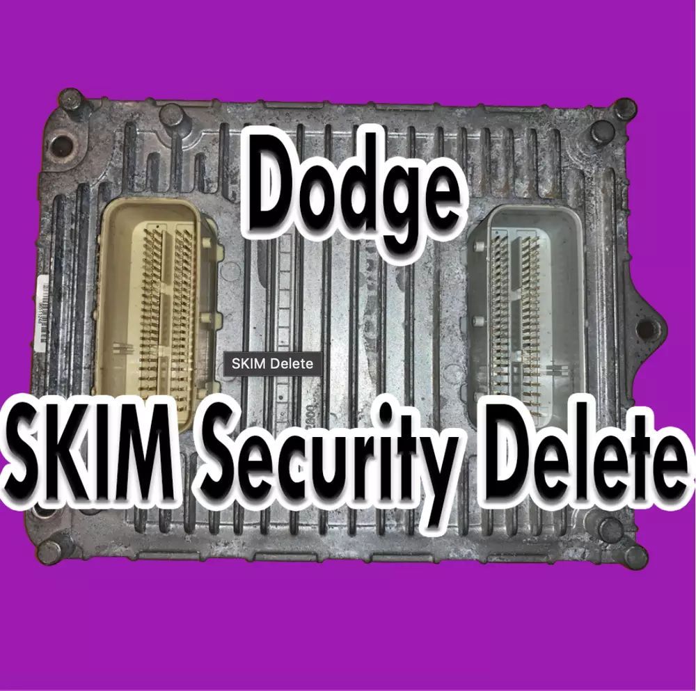 A dodge skim security delete is shown on a purple background.