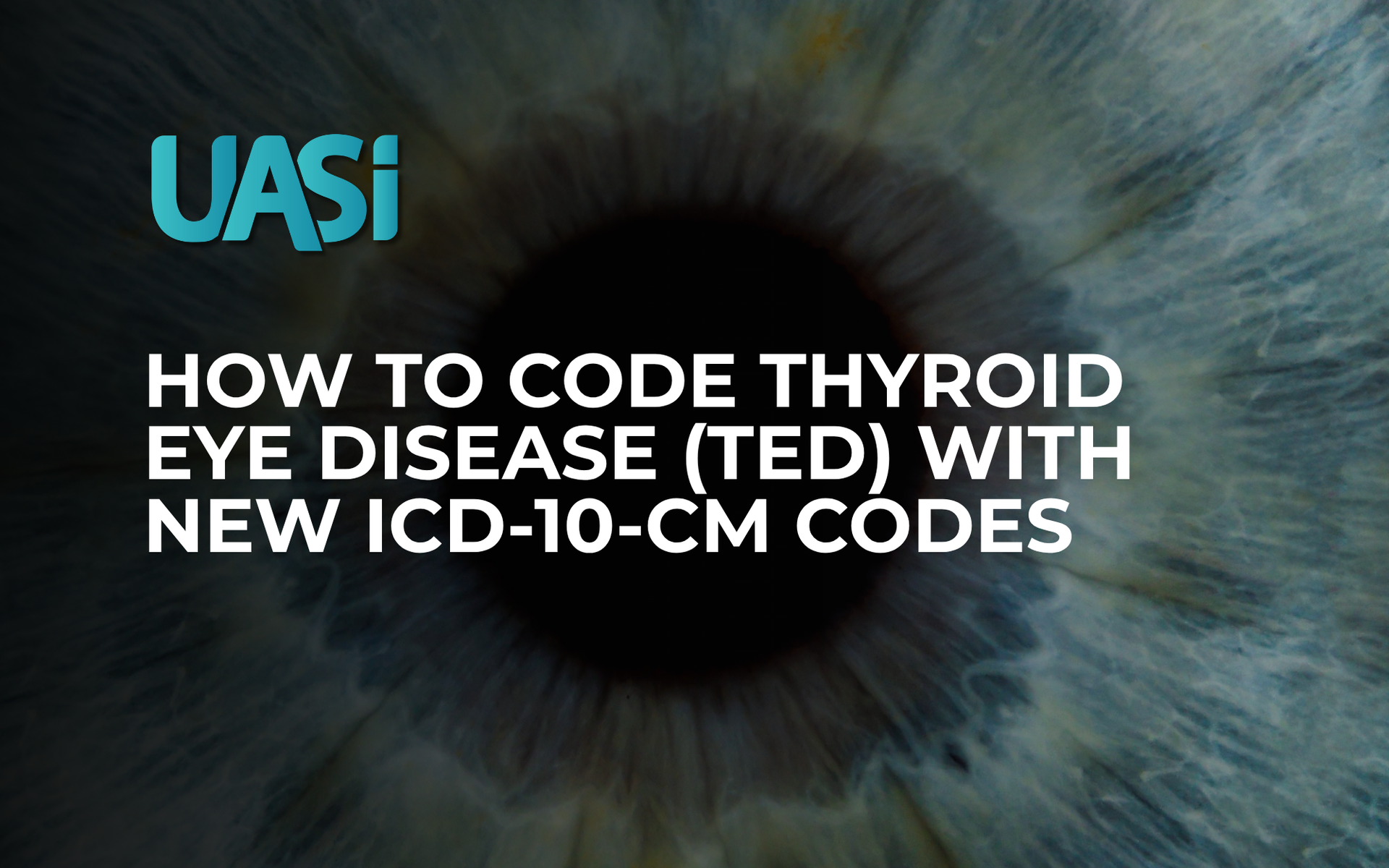 Iris of eye and graphic title for coding tip