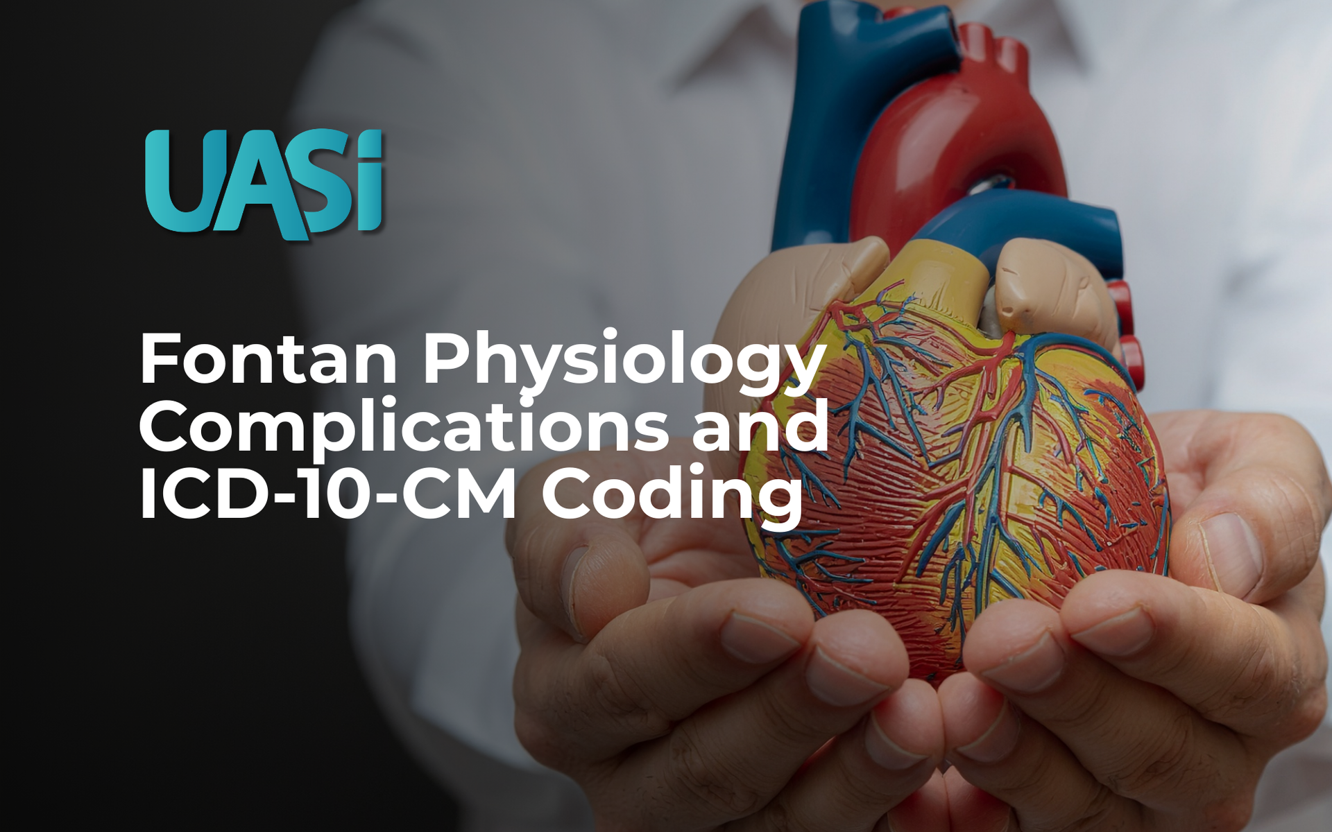 Hands holding an anatomical heart model illustrating congenital heart defects related to Fontan