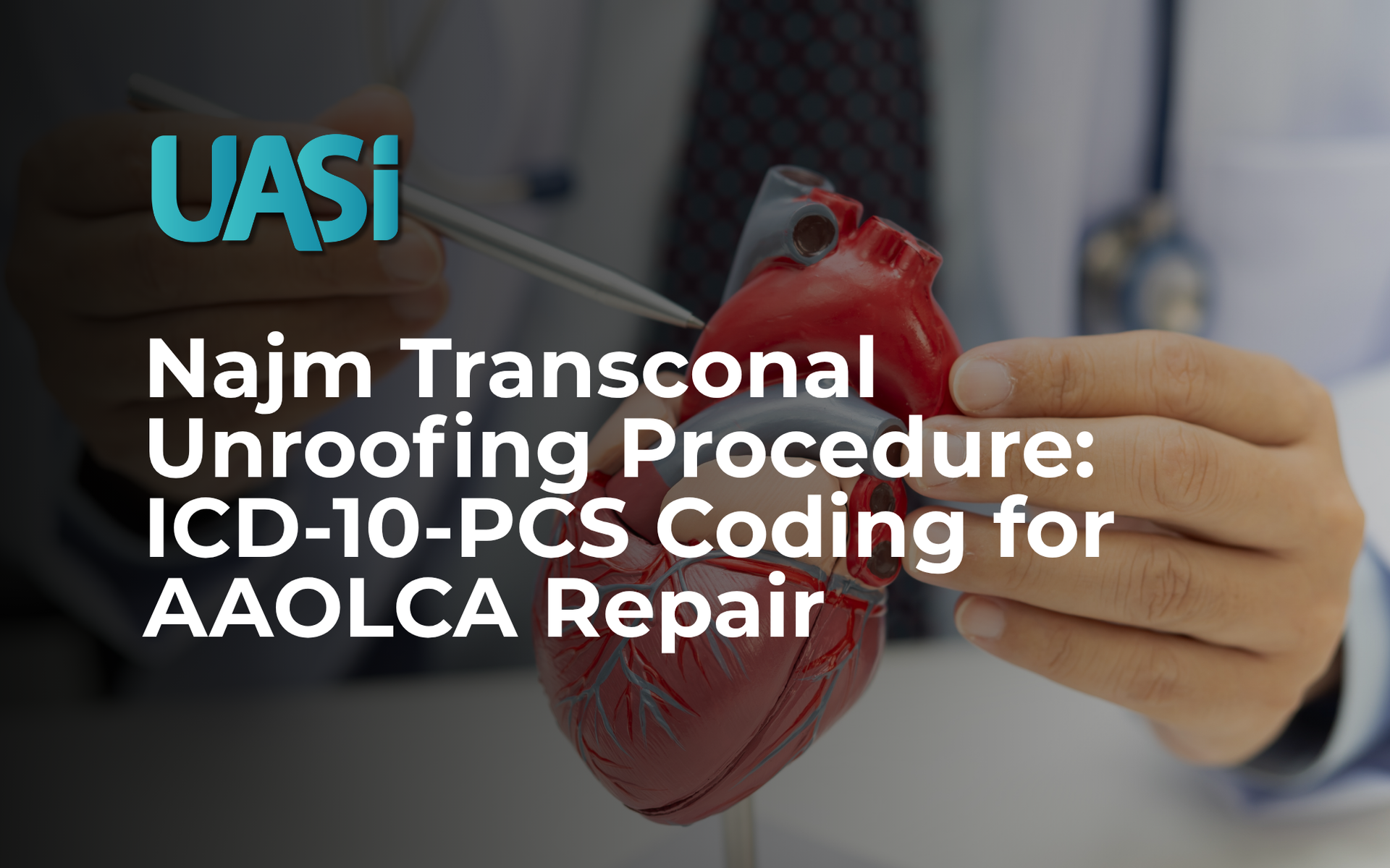 Graphic texDoctor holding model of anatomical heart