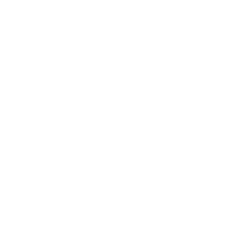 Risk Based Solutions Logo