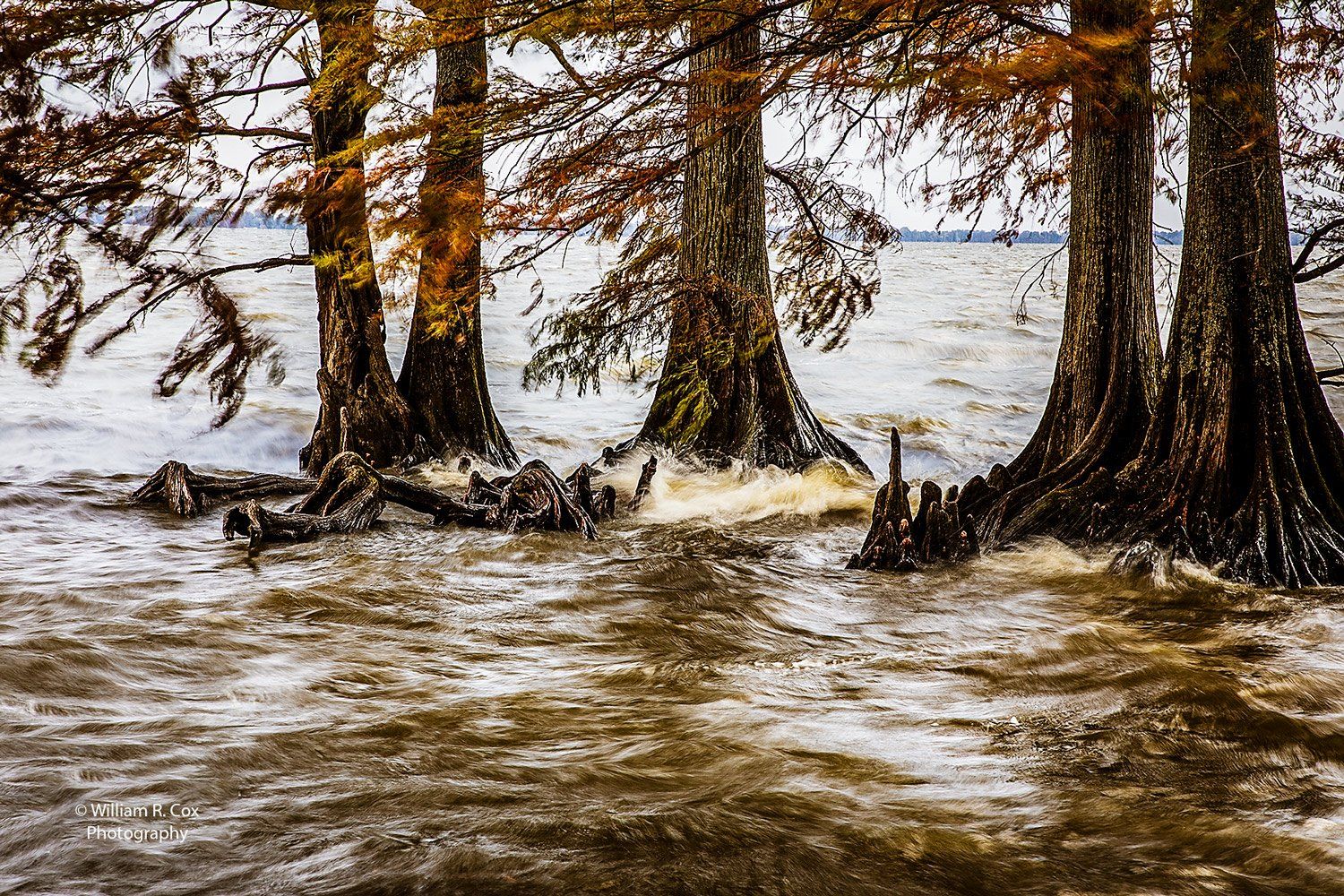 Travel Photography/ Nature Photography