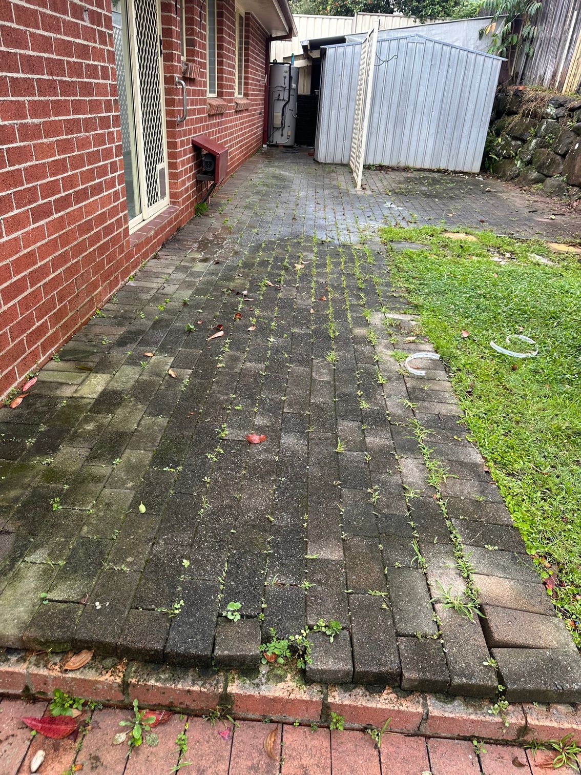Brick patio covered in moss and weeds, next to a brick building and grassy area.