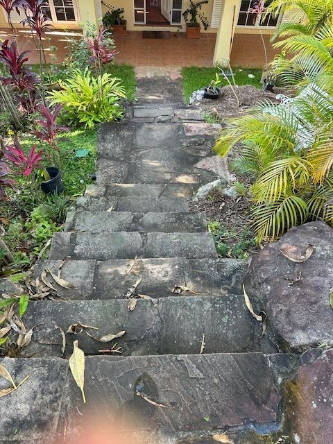 Stone steps leading up to a house with lush tropical landscaping on either side.