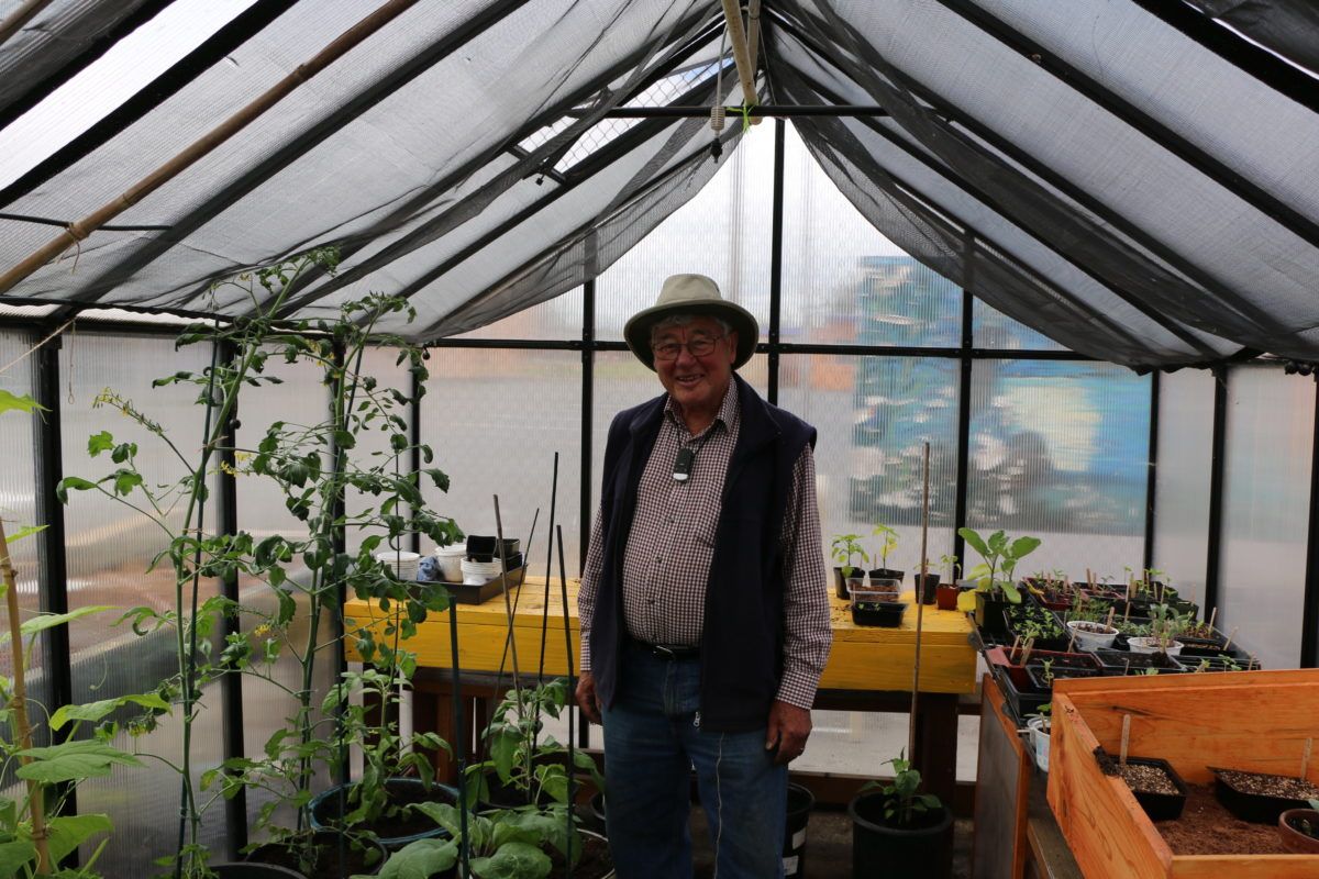 A man in a hat is standing in a greenhouse filled with plants.