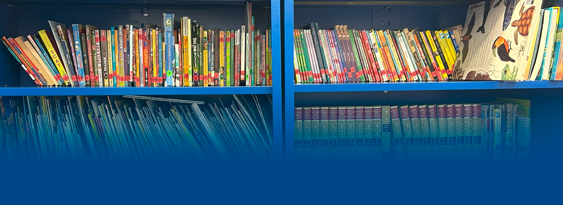 A library filled with lots of books on blue shelves.