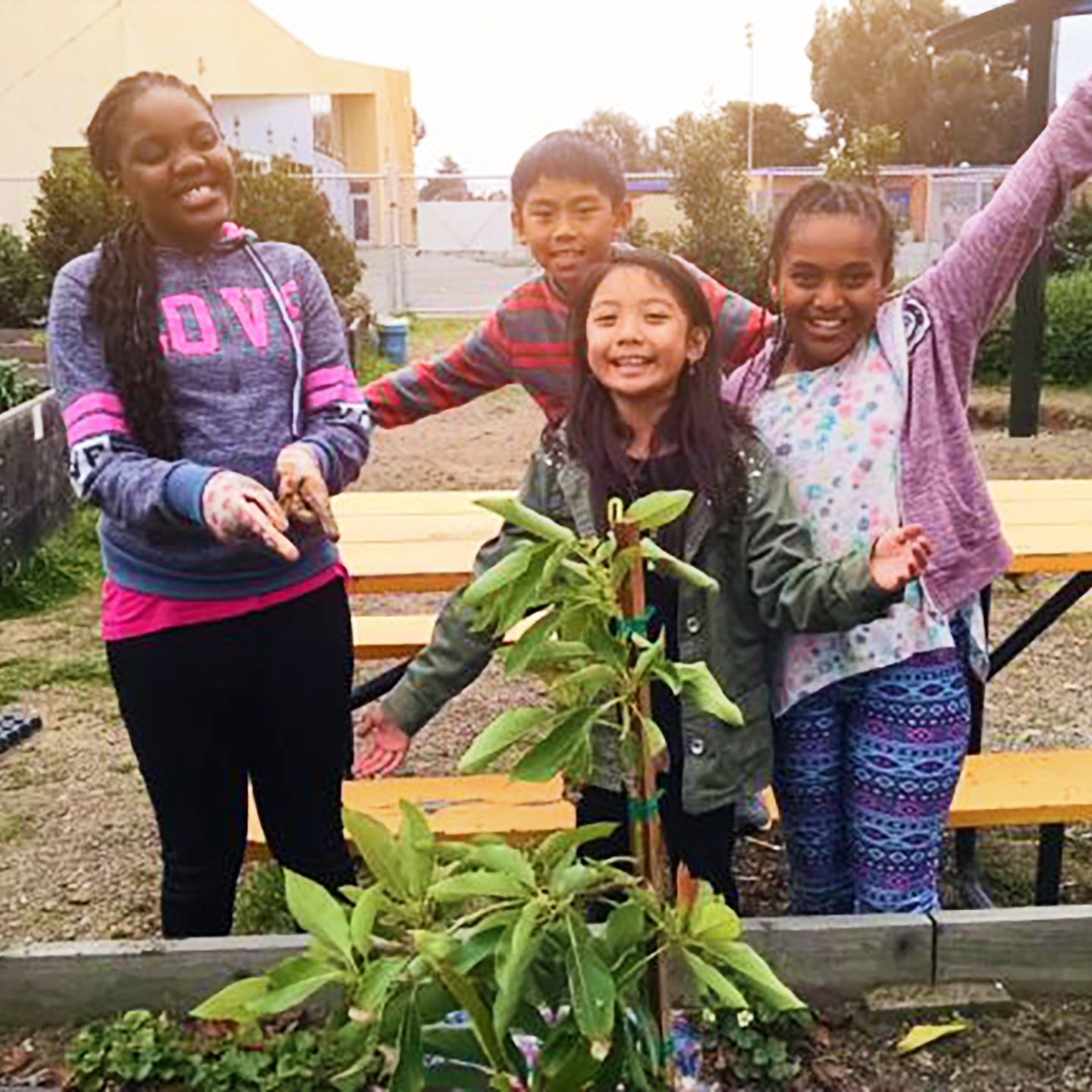 A group of children are posing for a picture in front of a tree.