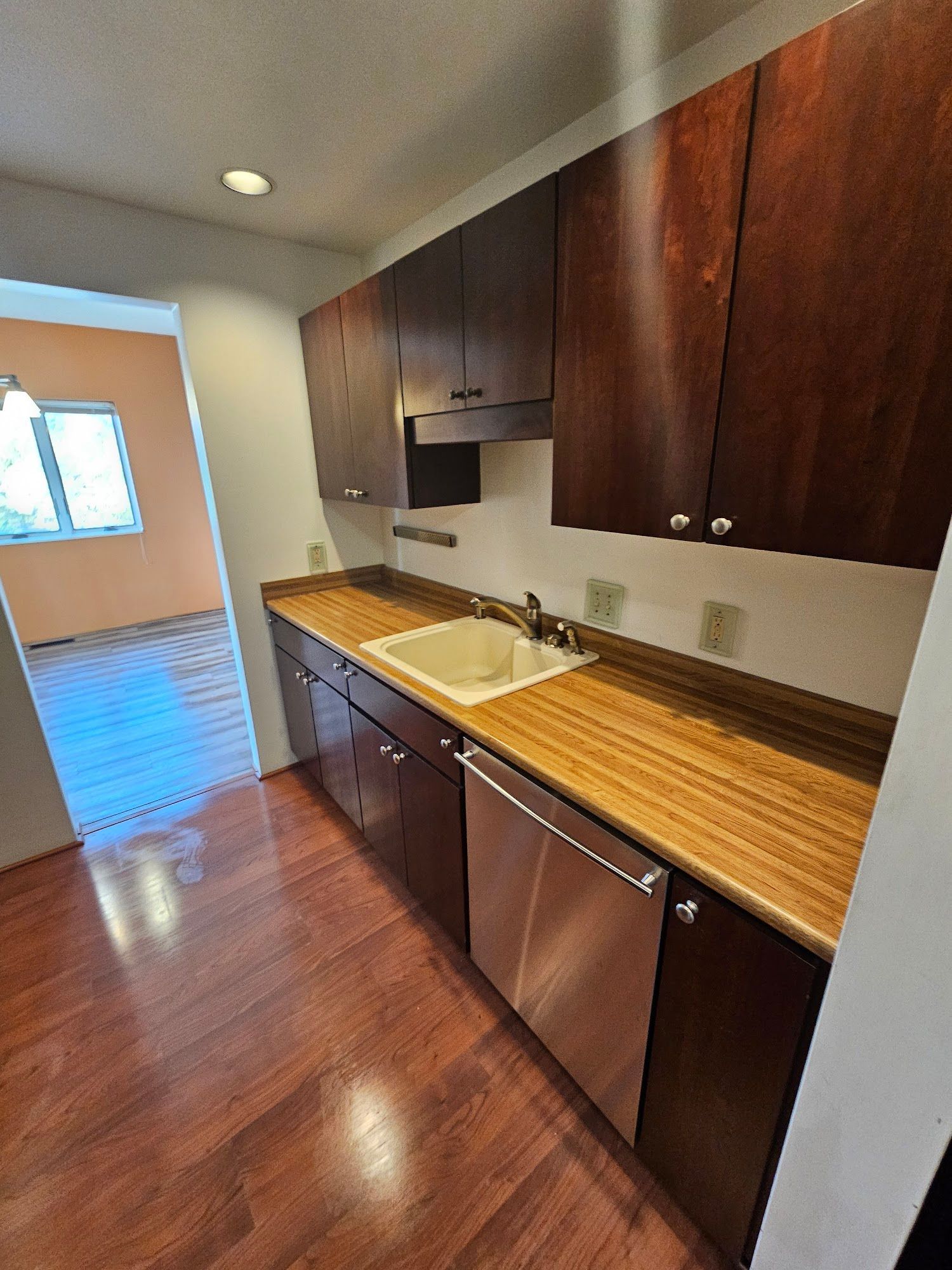 A kitchen with wooden cabinets , a sink , and a stainless steel dishwasher.