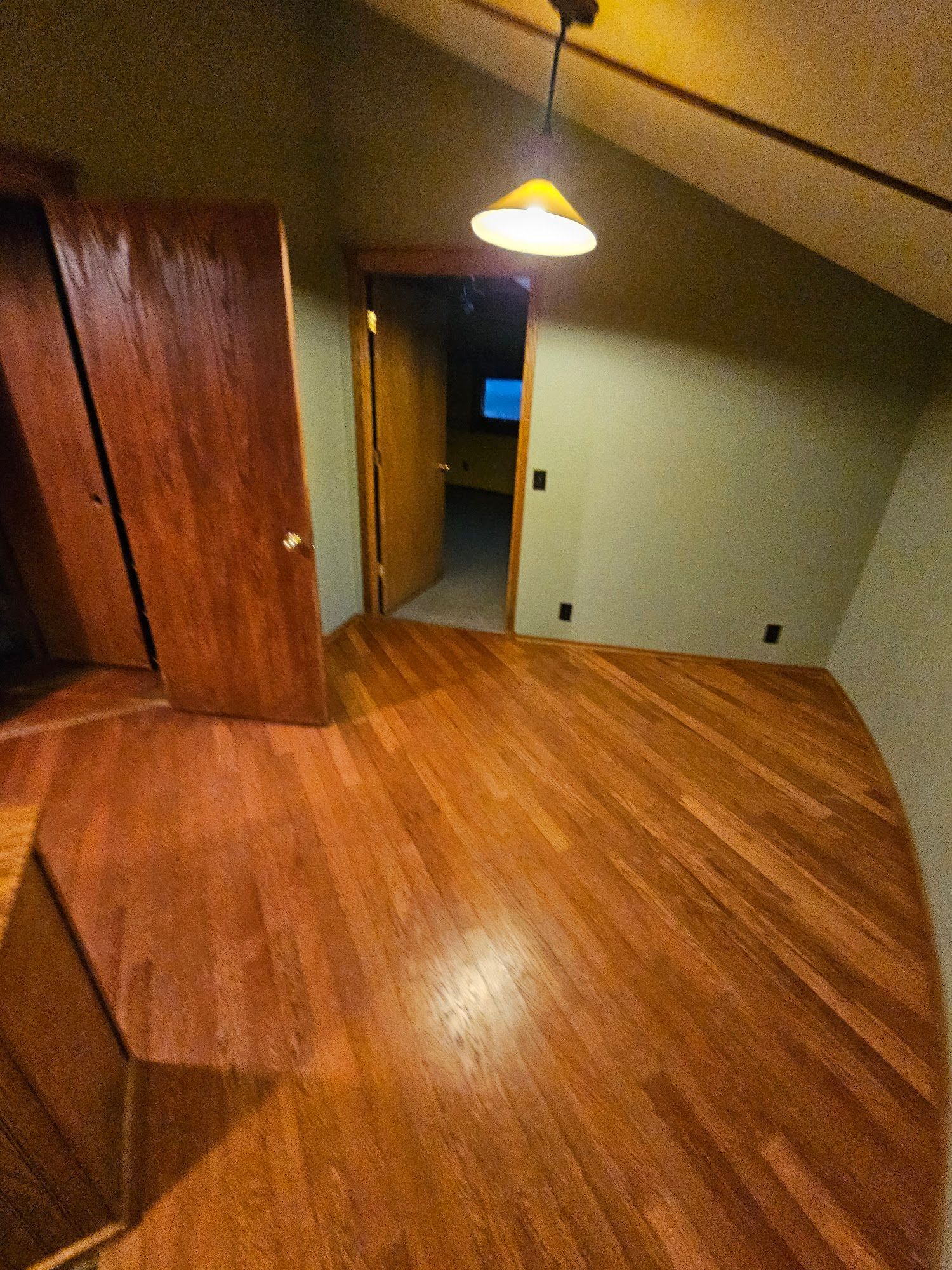 A room with hardwood floors and a ceiling light.