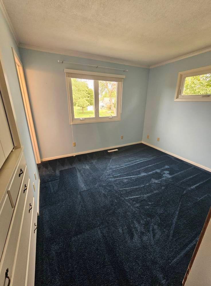An empty room with a blue carpet and a window.