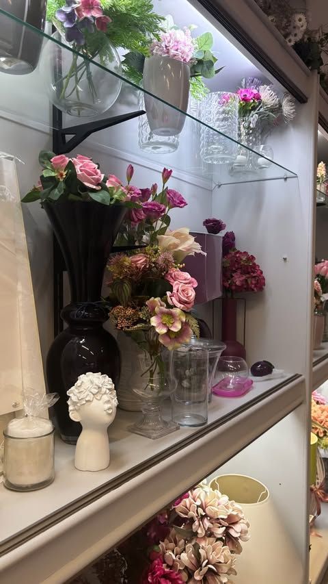 PIANTE DA GIARDINO E DA APPARTAMENTO