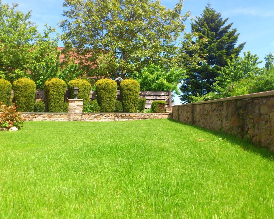 A lush green lawn with a stone wall and trees in the background.
