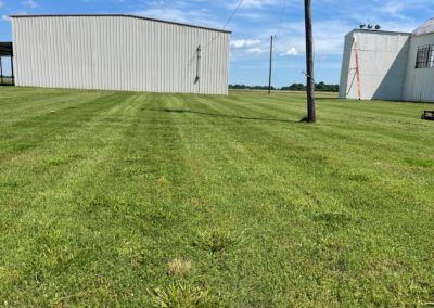 A lush green field with a white building in the background.