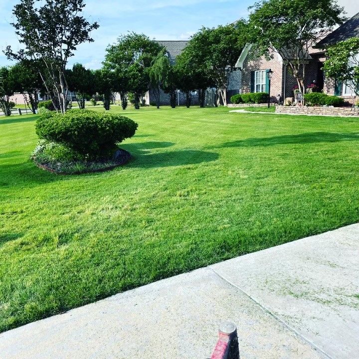 A lush green lawn in front of a house