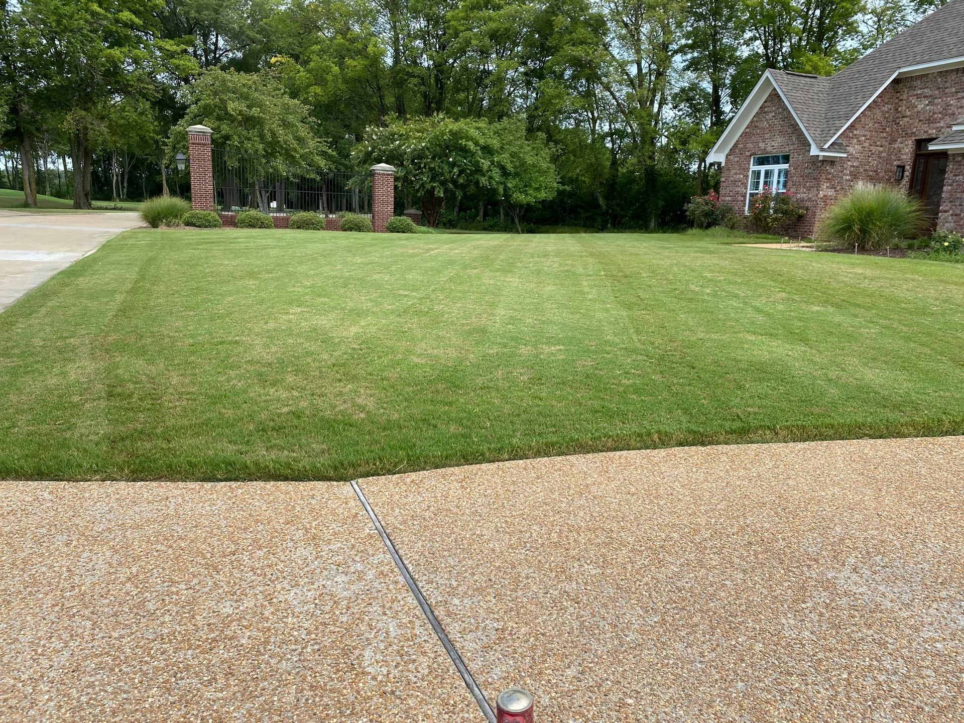 A lawn sprinkler is spraying water on a lush green lawn in front of a house.