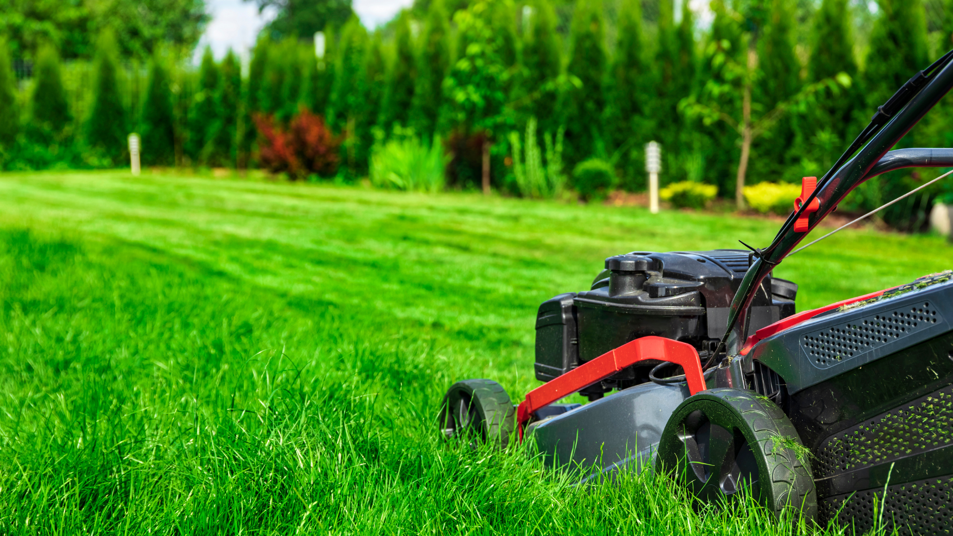 A lawn mower is cutting a lush green lawn.