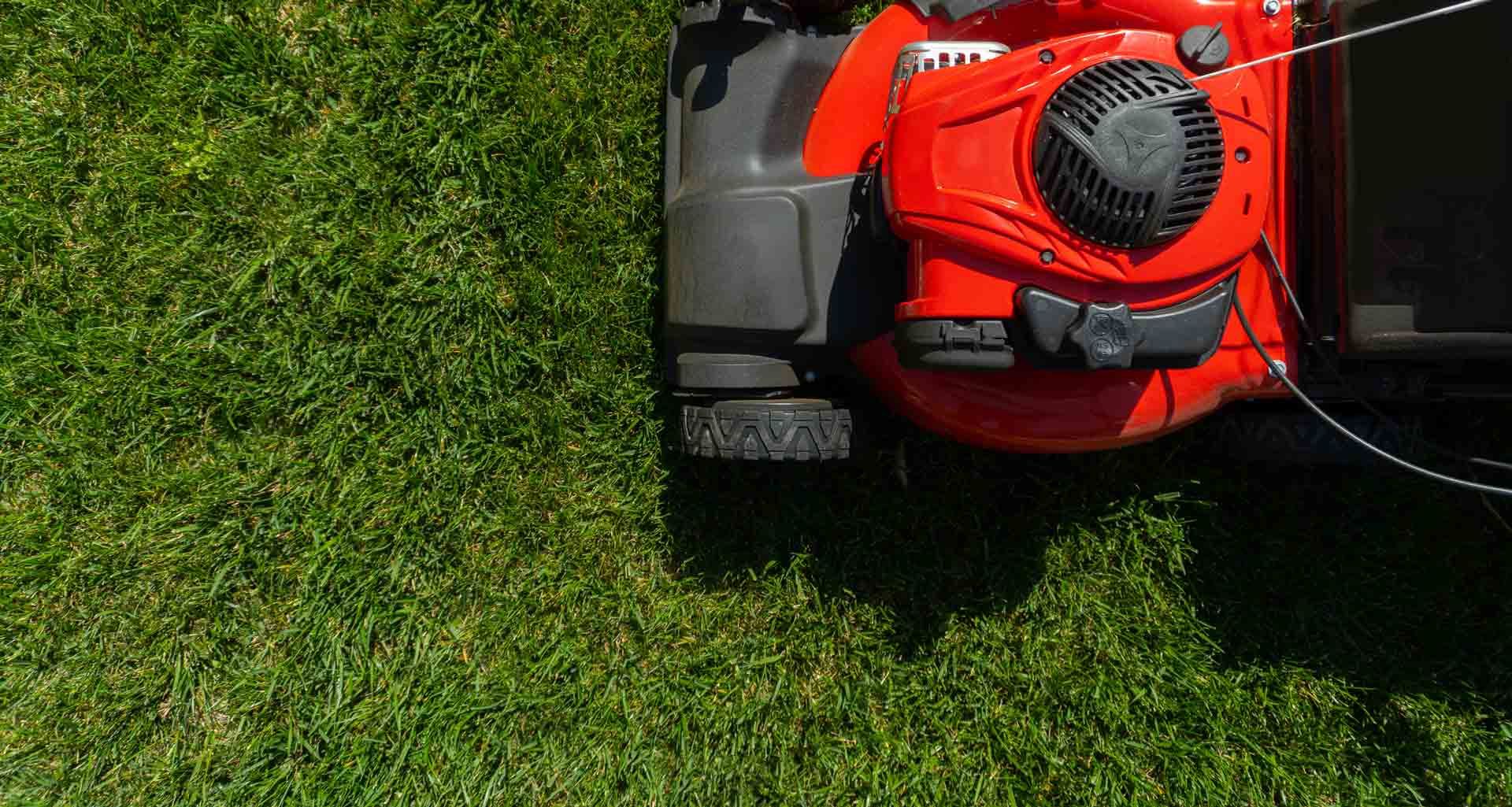 Red lawn mower cutting green grass in a yard, viewed from above.