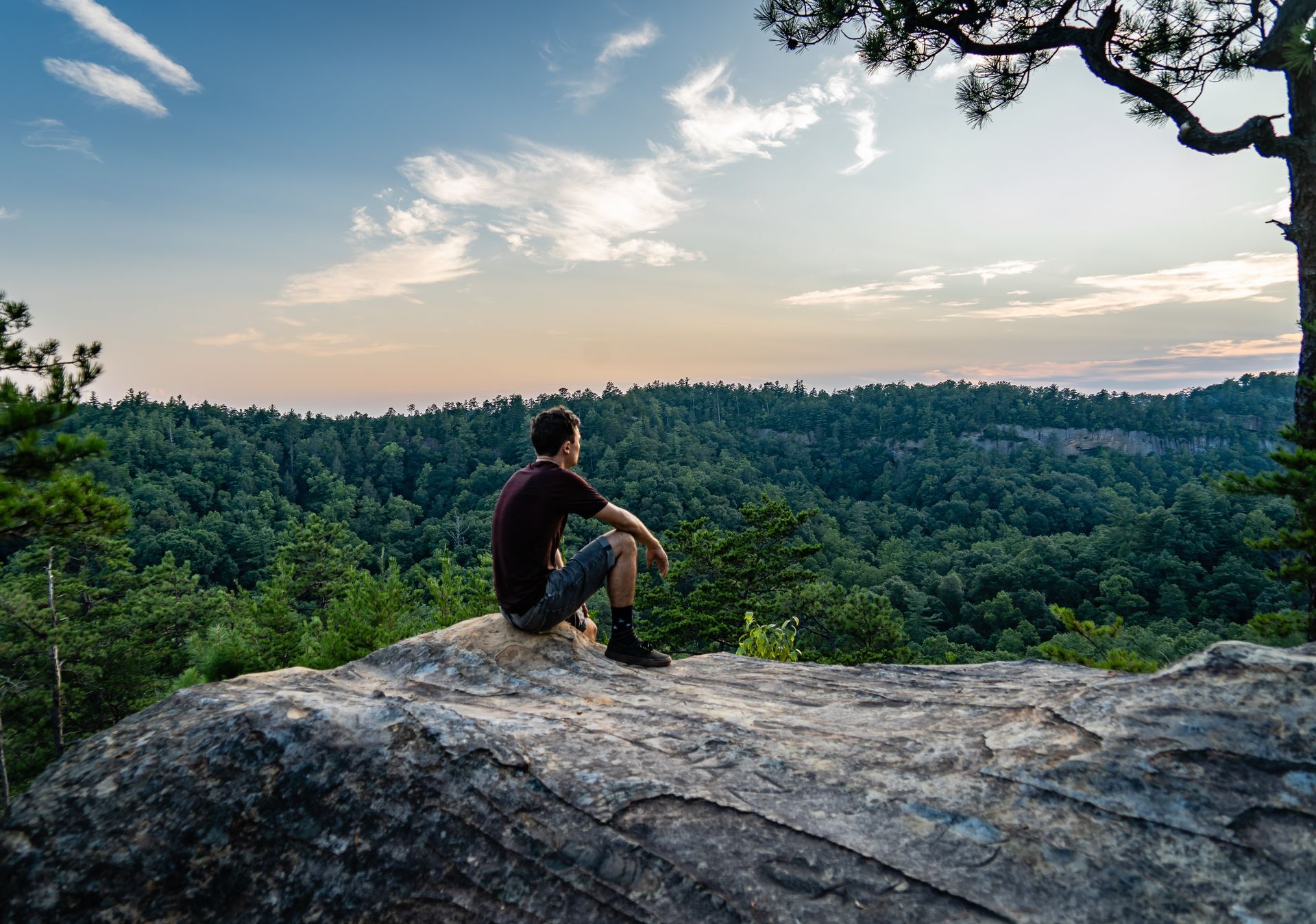 Man sits on a rocky overlook, gazing at a dense green forest under a dusky sky.