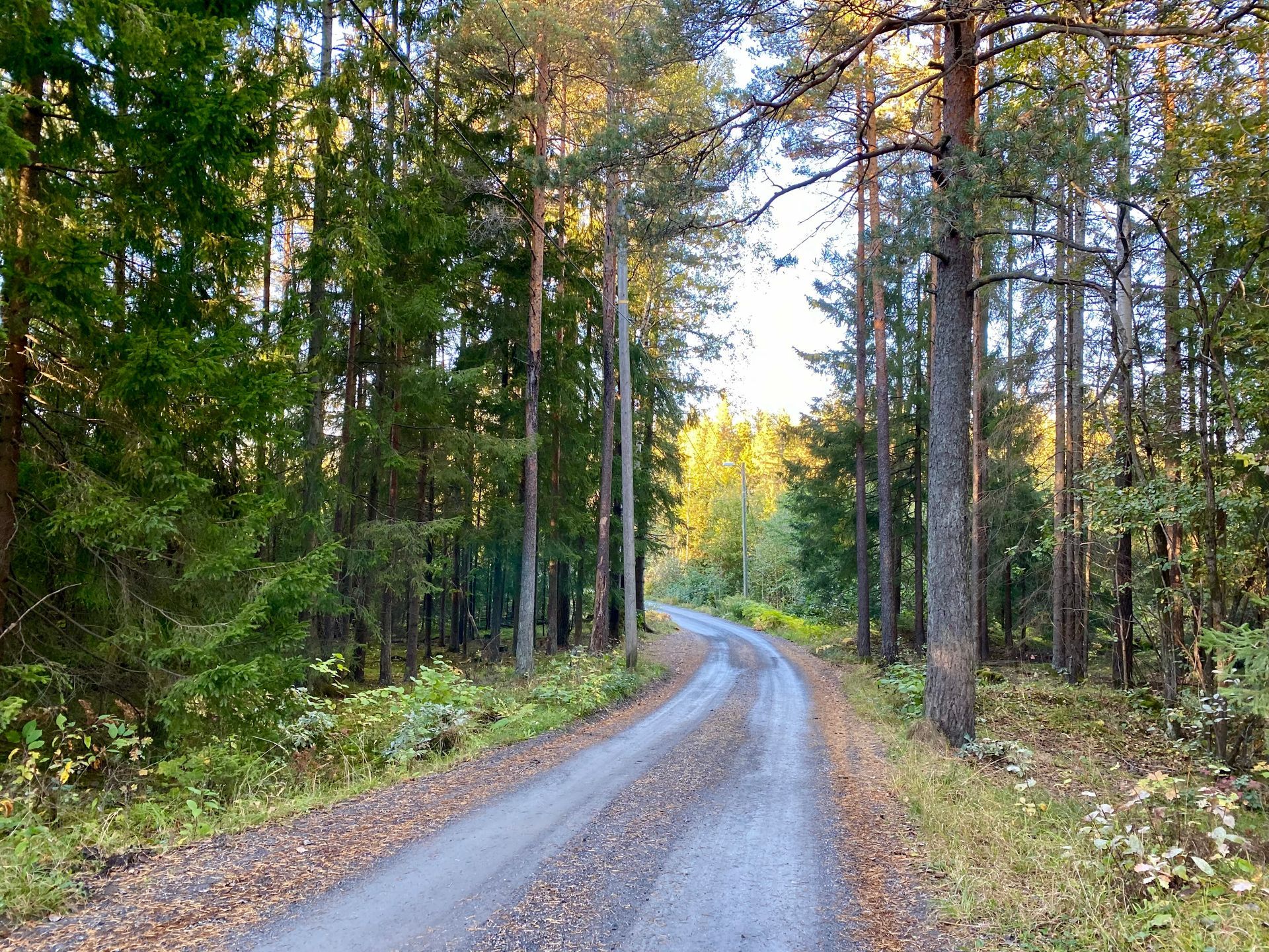 Bli med på vandring i Kroken