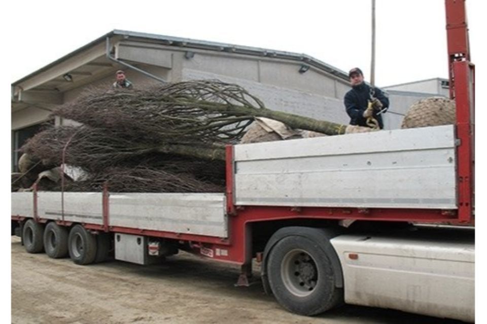 esterno magazzino del vivaio